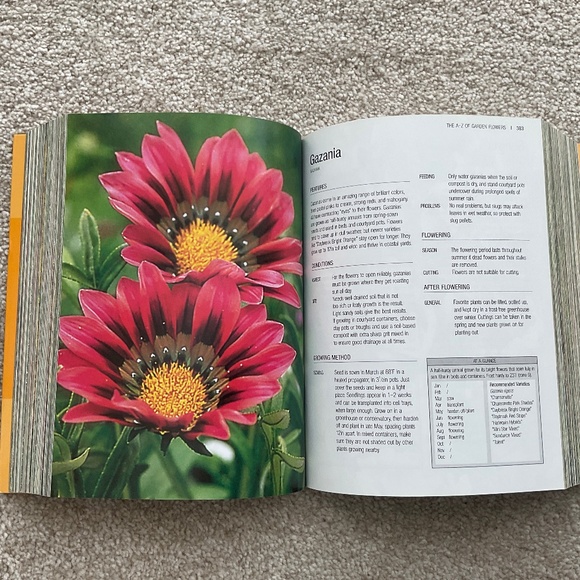 The A-Z of Garden Flowers - Picture 5 of 6